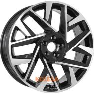 Lizardo XH113