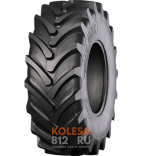 Pulmox RAG110