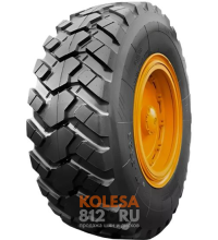 Tercelo TRG01 G2 C1