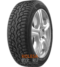 Zmax Winternova Stud I